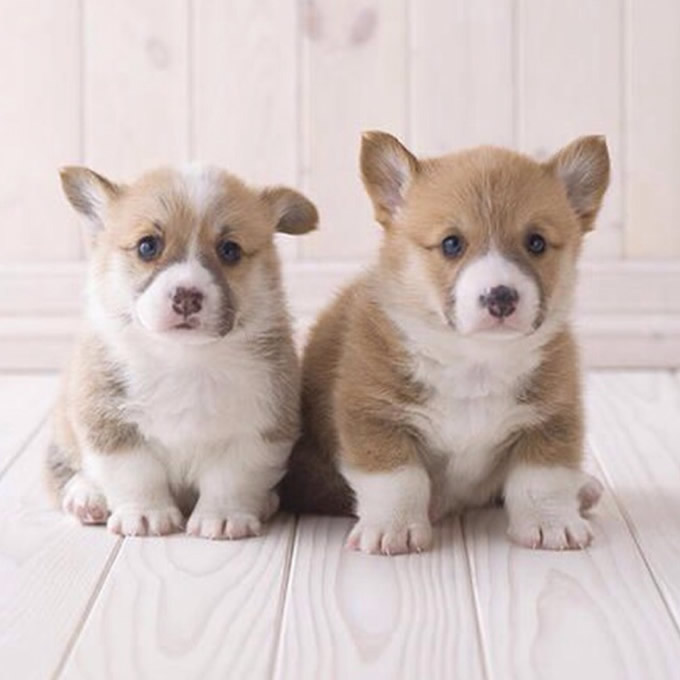 steteason93403's tweet image. 