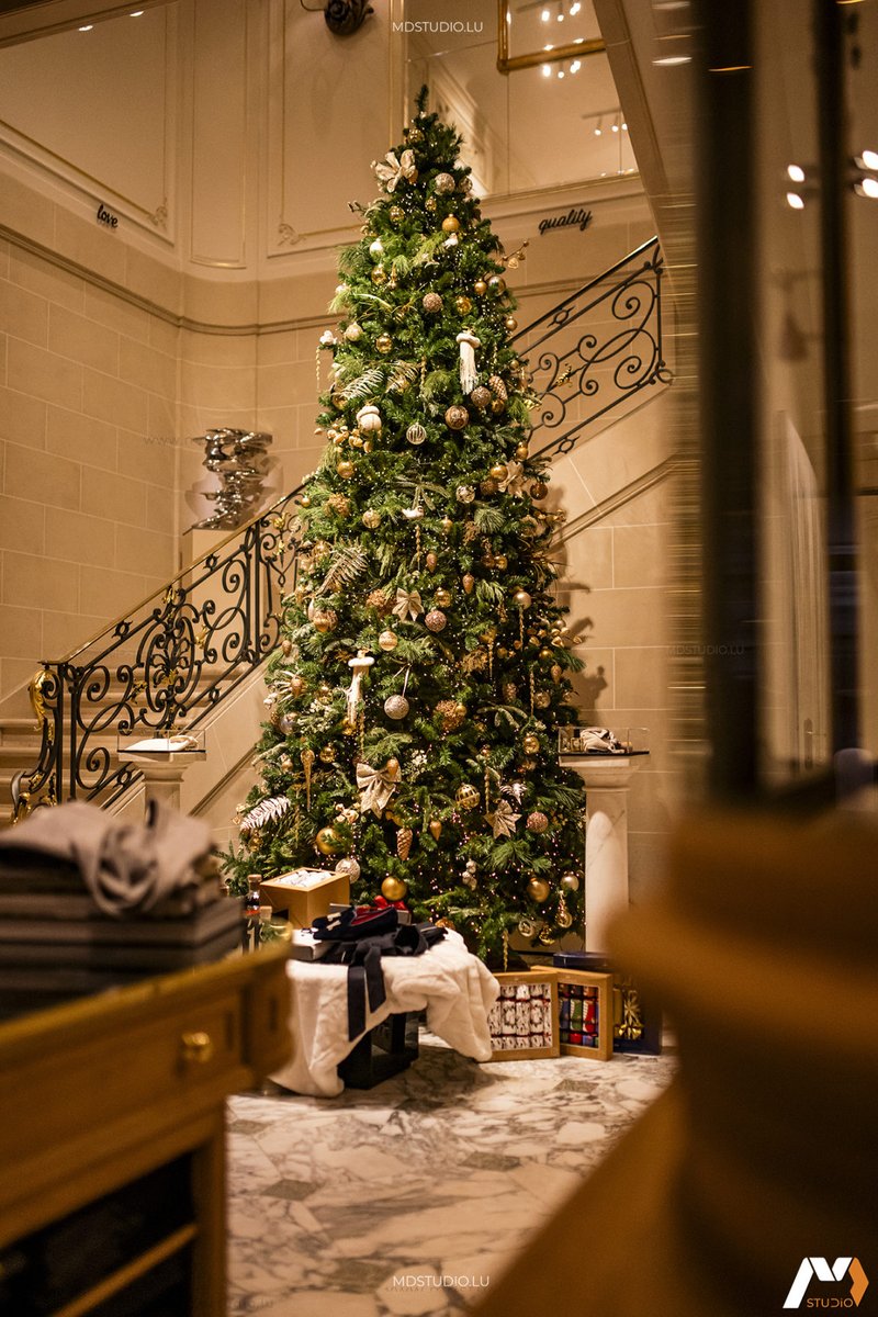 MDstudiolux's tweet photo. Nous avons eu la chance de collaborer avec la célèbre et prestigieuse Maison Degand à Bruxelles pour mettre en images la féerie de Noël dans leur superbe écrin Avenue Louise. 

Découvrez nos projets sur https://t.co/belZxRtxz6 https://t.co/i0W0eB4Uww