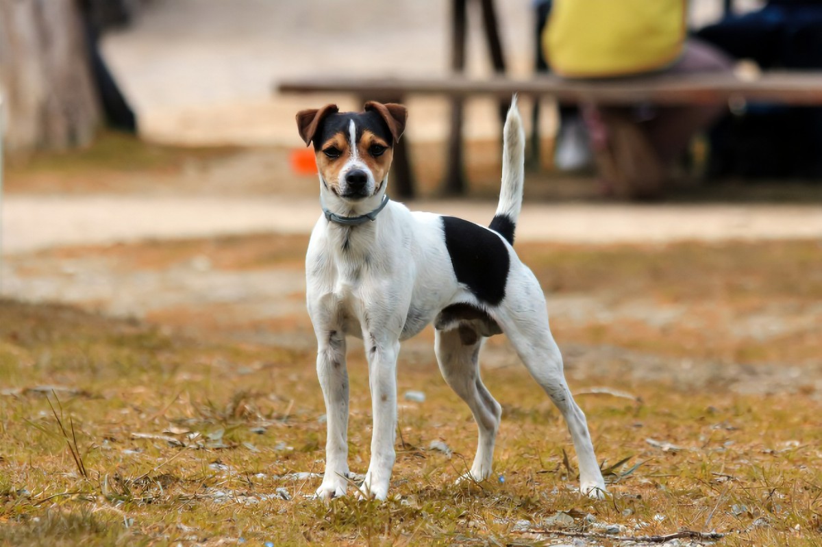 Thaba (@thaba1930391) on Twitter photo 