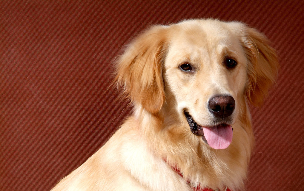 Keysloo (@keysloo60456) on Twitter photo 