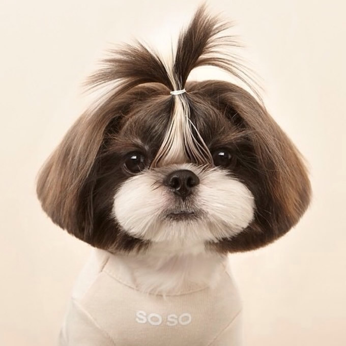 McSeesle (@mseesle66731) on Twitter photo 