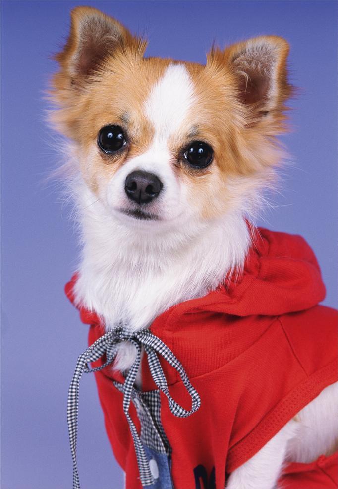 Shoasmeth (@shoasmeth32765) on Twitter photo 