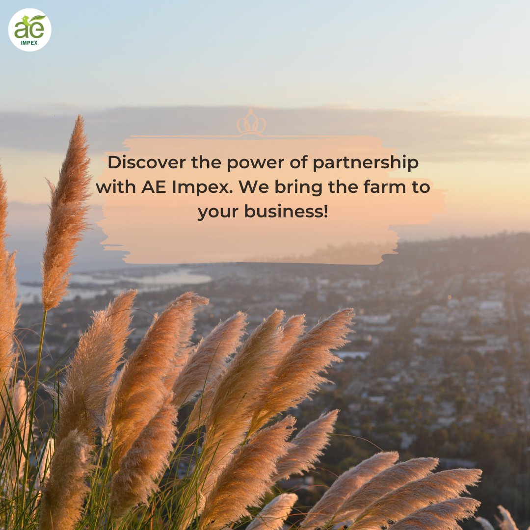 From Farm to Your Business: A Partnership That Bears Fruit! 🌱🏢 

 #AEImpex #FarmToBusiness
#SourcingSolutions #PartnershipPower
#SustainableSourcing #BusinessGrowth
#QualityMatters #SupplyChain #AE #FromFarmToTable #Agribusiness
#FarmersToBusiness #AmazingEnterprises