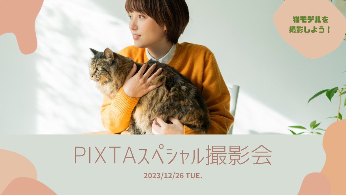 pixtajp's tweet photo. 【撮影会情報】
猫モデル×人物モデルで、ライフスタイルをテーマにしたスペシャル撮影会を12月26日（火）に開催いたします📸

「ペットモデルを撮影するのはハードルが高い」
「愛らしい姿を撮ってみたい！」
という方はぜひこの機会にチャレンジを🐈✨

🔽詳細はこちら
https://t.co/1n5zfqXrQO https://t.co/vKiwVpWzHp