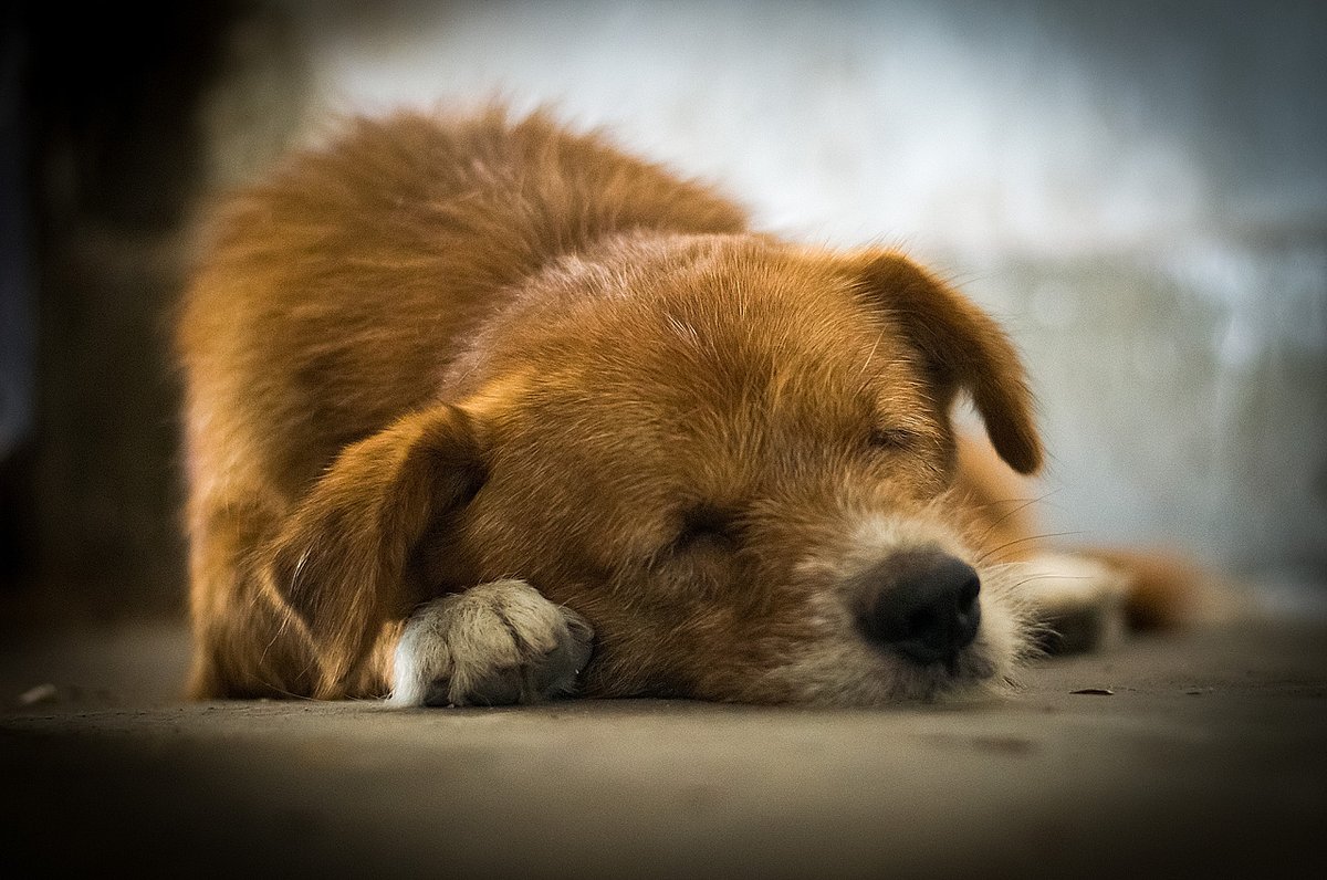 Shealeesh (@shealeesh1498) on Twitter photo 