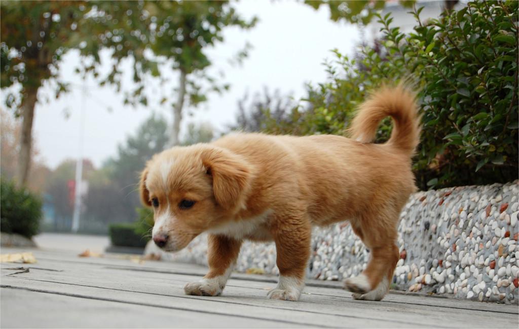 Leighd (@leighd435956) on Twitter photo 