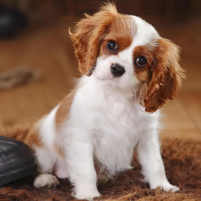 Stasay (@stasay215158) on Twitter photo 