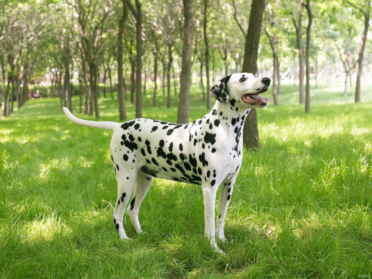 Heighez (@heighez217586) on Twitter photo 