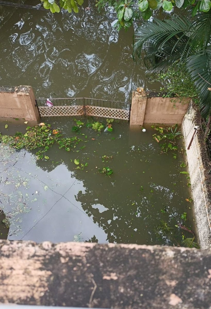 nyshawnn's tweet photo. @TRBRajaa @chennaicorp this is Korattur . Lot of elderly people here who don’t have access to essentials. If they open the front door water will seep in. Kindly help them. A friends mother is stuck at 54, 2nd Street, korattur (opp Korattur sports ground) @mkstalin @Udhaystalin https://t.co/yX837Sx7mf