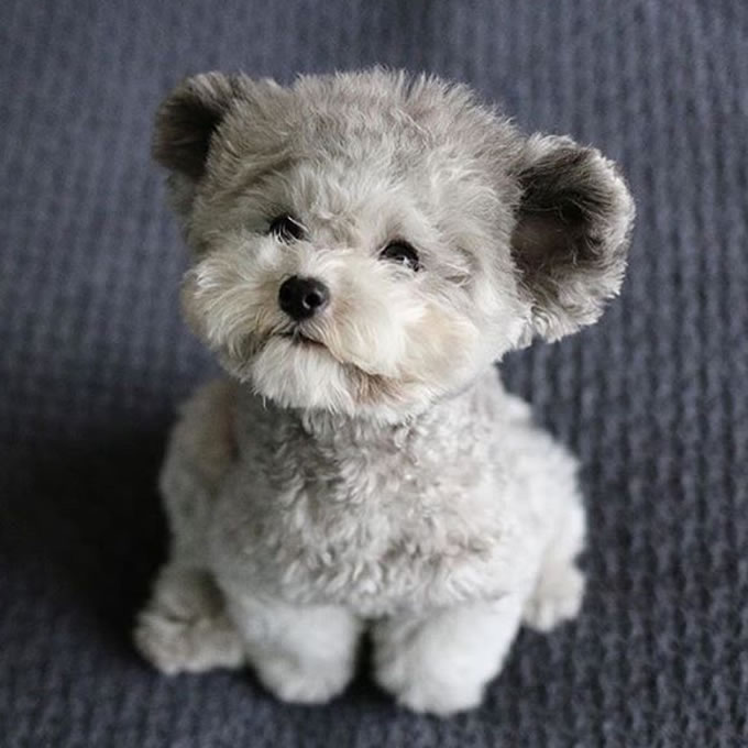 Socki (@socki390254) on Twitter photo 