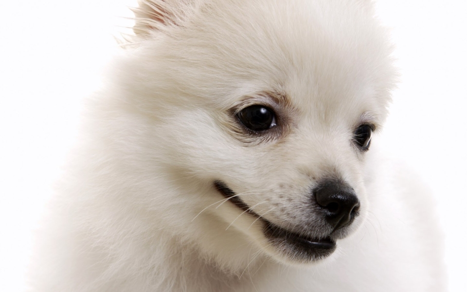 Slasmilaysh (@slasmilays21664) on Twitter photo 