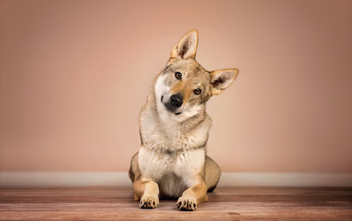 Soloath (@soloath62486) on Twitter photo 