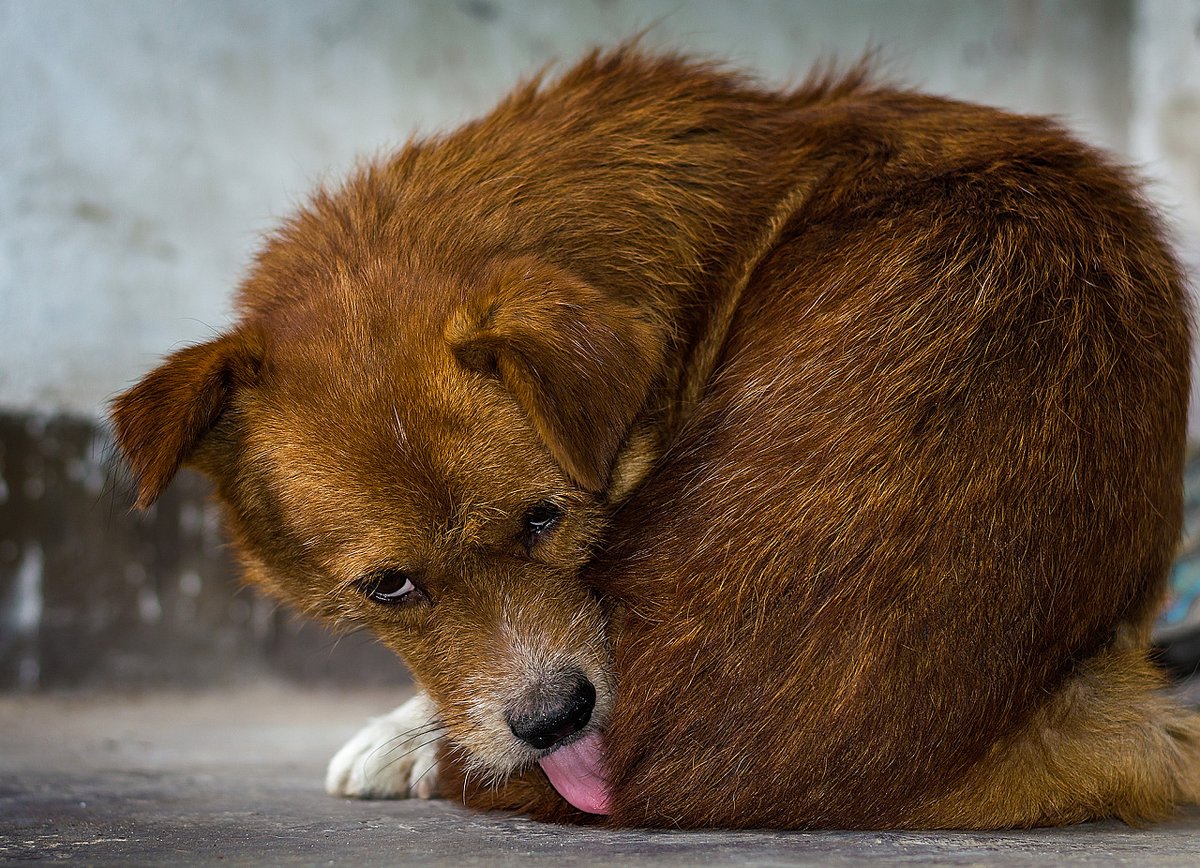 McNeshee (@nesheemc2261) on Twitter photo 