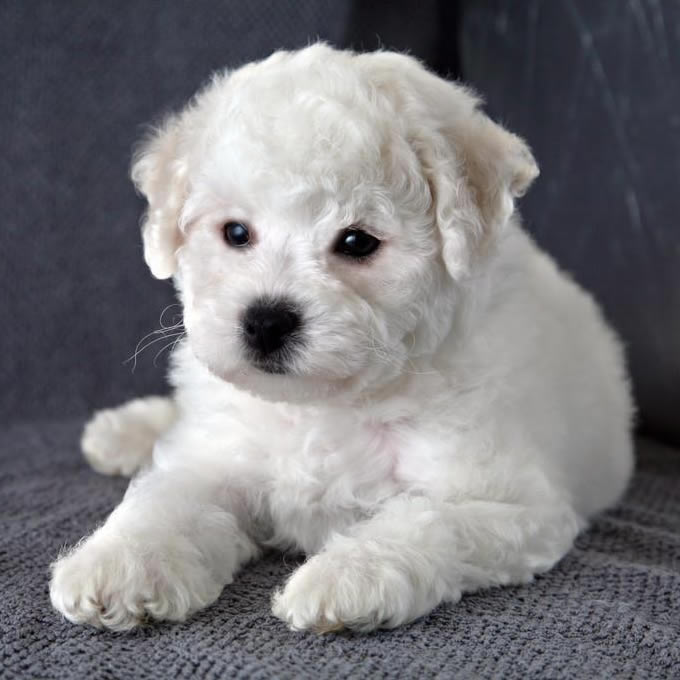 Tenogheau (@tenogheau39517) on Twitter photo 