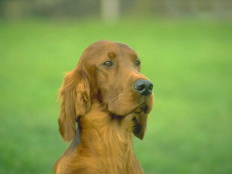 Reroun (@reroun163872) on Twitter photo 