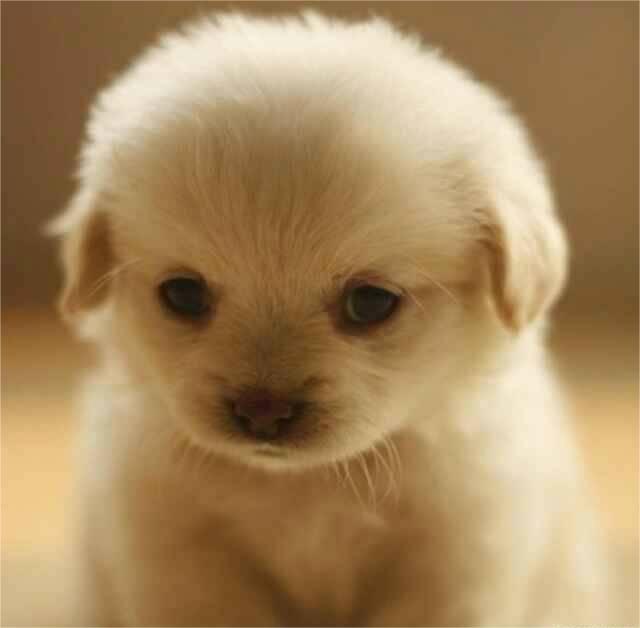 Toothe (@toothe257677) on Twitter photo 