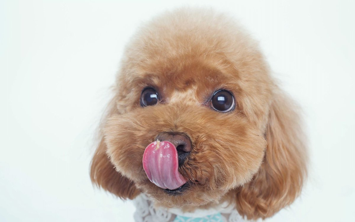 McThise (@thisemc59078) on Twitter photo 