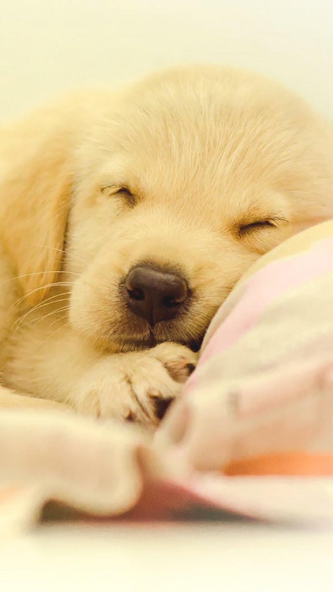 Leeshough (@leeshough183906) on Twitter photo 