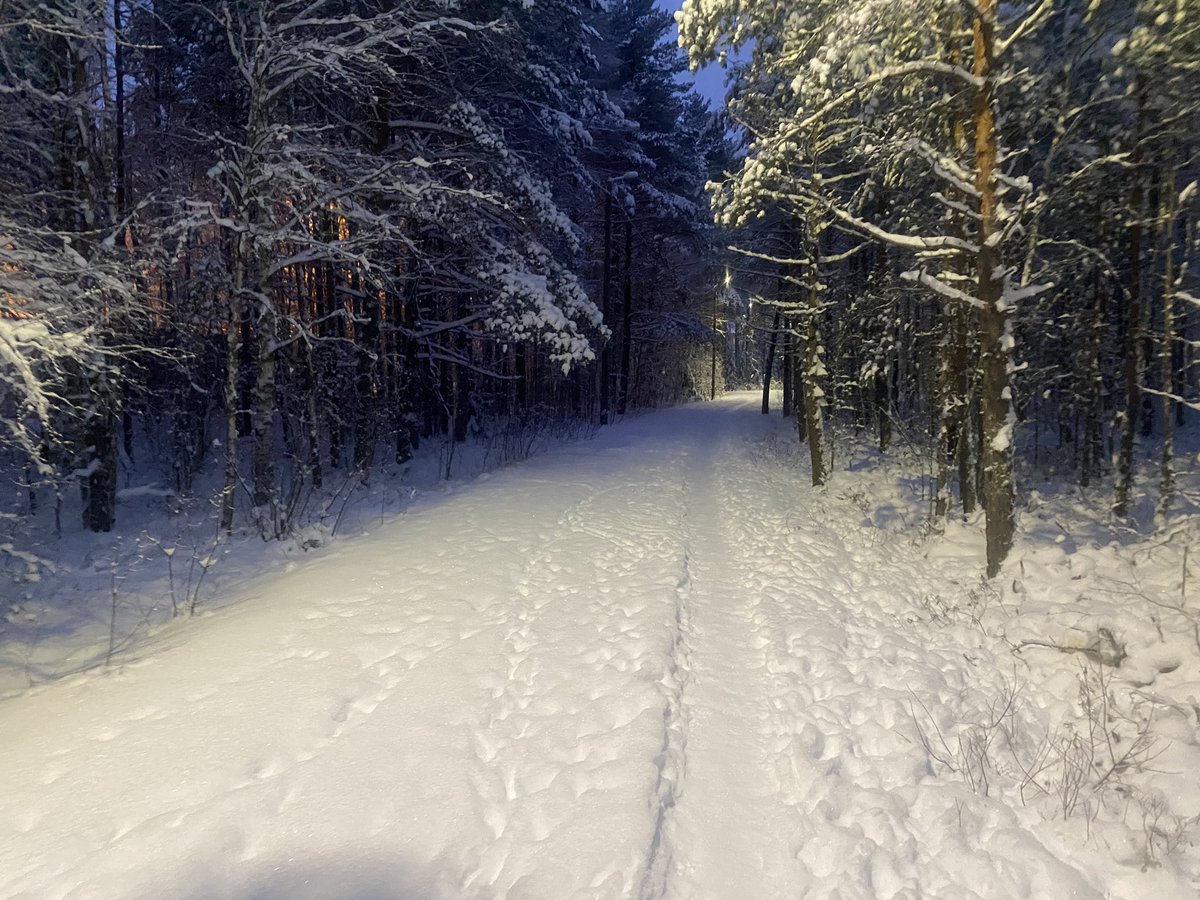 ophakkar's tweet photo. Hyvää itsenäisyyspäivää!!🇫🇮🇫🇮🇫🇮 https://t.co/4b3HFE9d8y