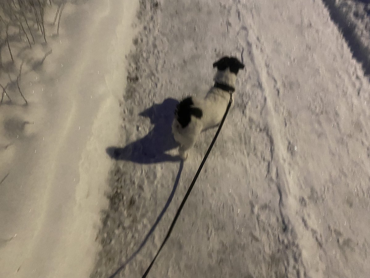 ophakkar's tweet photo. Hyvää itsenäisyyspäivää!!🇫🇮🇫🇮🇫🇮 https://t.co/4b3HFE9d8y