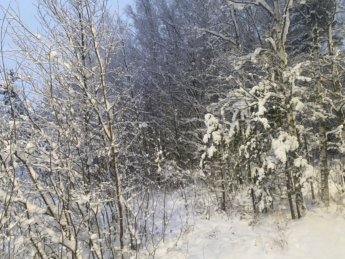 ophakkar's tweet photo. Hyvää itsenäisyyspäivää!!🇫🇮🇫🇮🇫🇮 https://t.co/4b3HFE9d8y