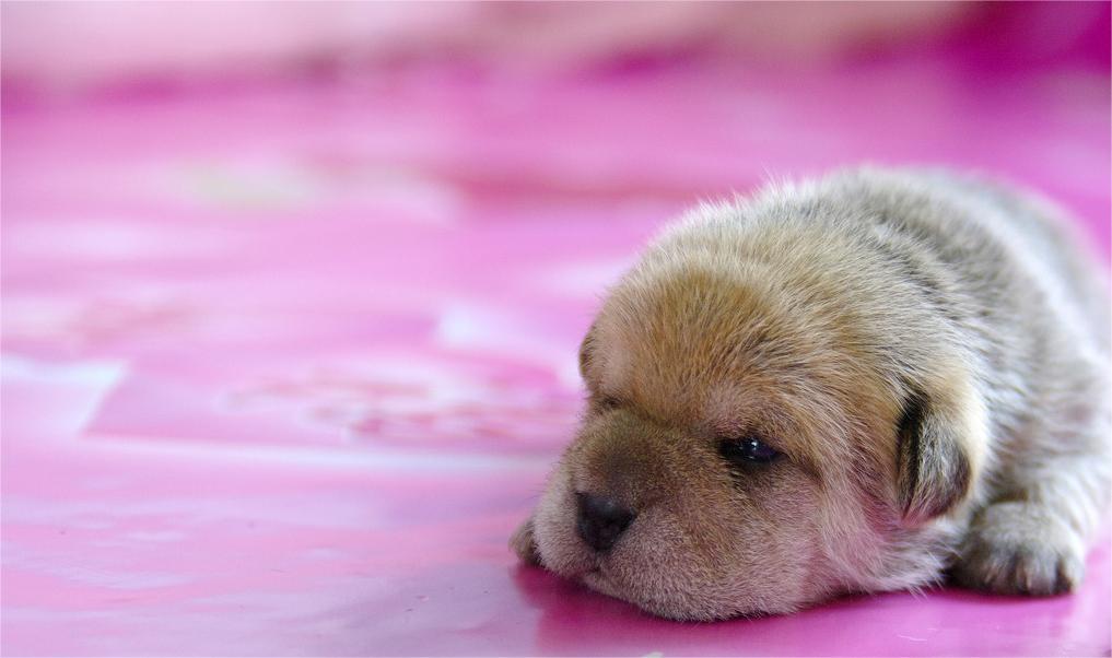 Smeteth (@smeteth284333) on Twitter photo 