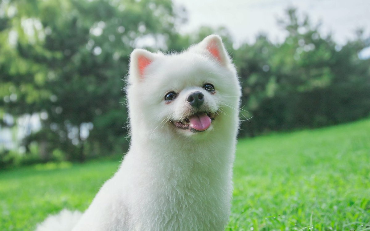 Thesep (@thesep164192) on Twitter photo 