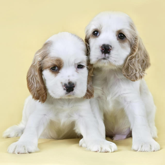 Leane (@leane7073921776) on Twitter photo 