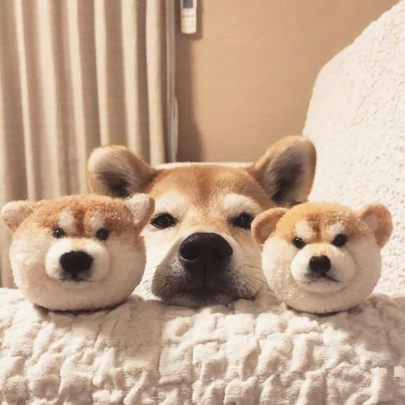 Setha (@setha1662544) on Twitter photo 