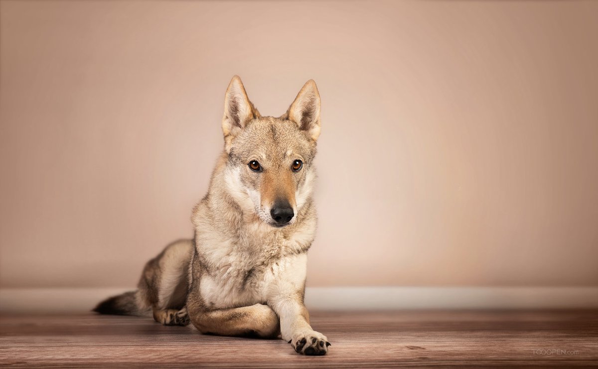 Ceighs (@ceighs37546) on Twitter photo 