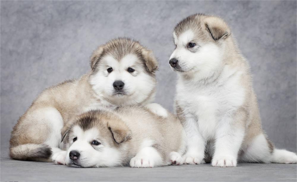 Sheley (@sheley17218) on Twitter photo 