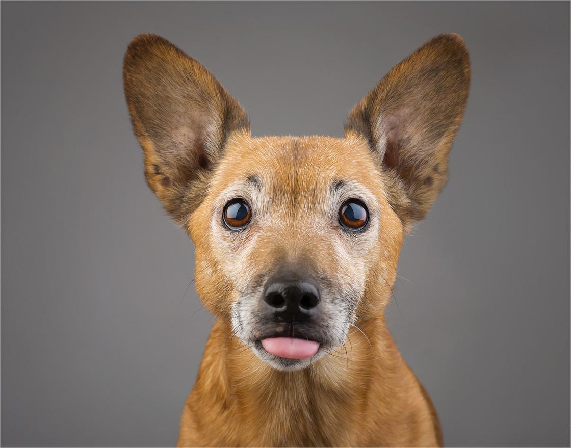 Tososmith (@tososmith80187) on Twitter photo 