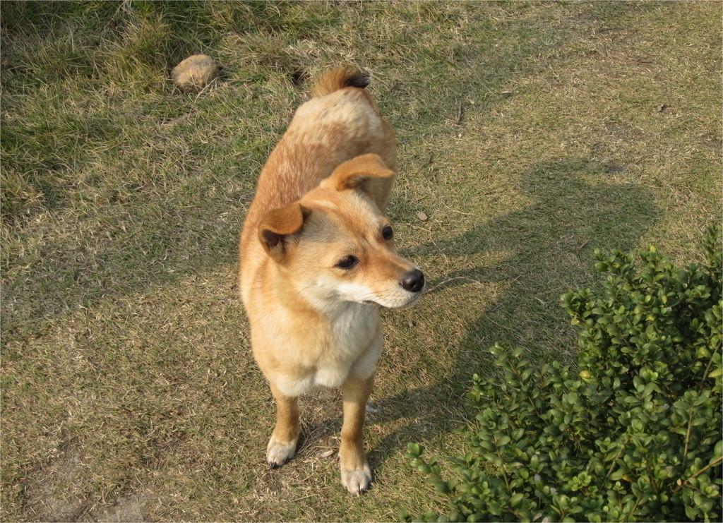 Rotha (@rotha885375) on Twitter photo 