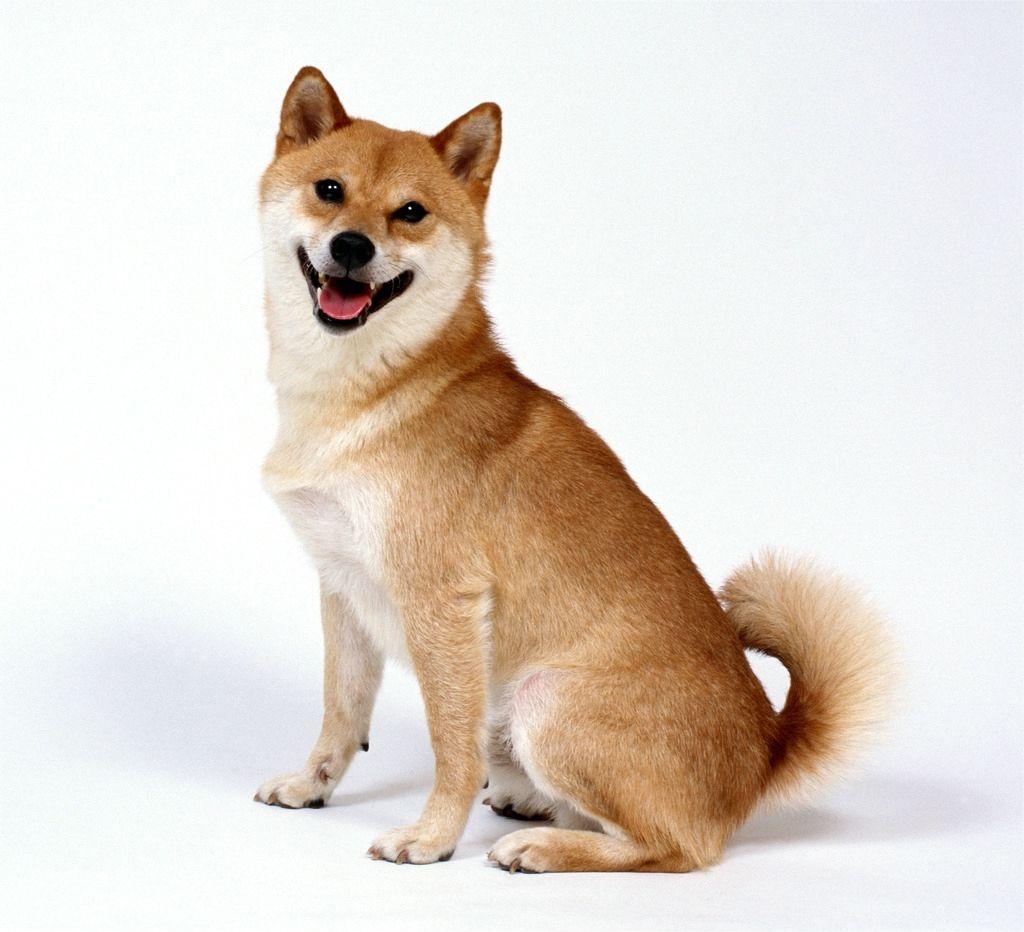 smatether64303's tweet image. 