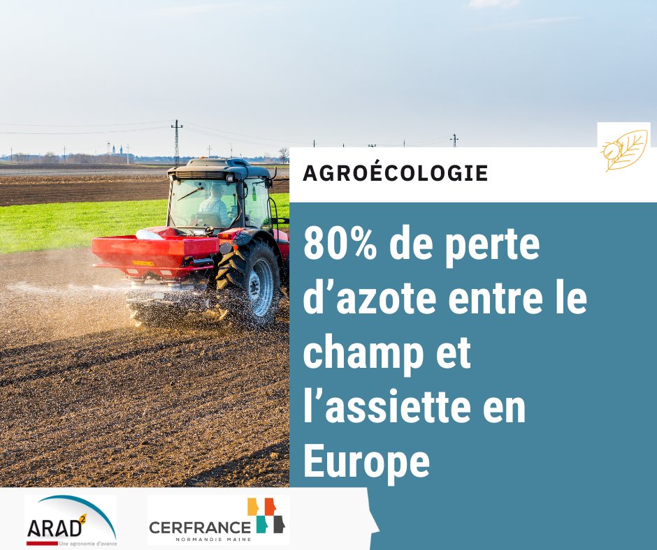 [Agroécologie] 4 principaux leviers pour réduire les pertes d'azote du champ à l'assiette. 
Et cela devient urgent pour la🌍

Pour en savoir plus : 
normandiemaine.cerfrance.fr/arad2/pertes-d…

@Cerfrance_sn <a href="/Cerfrance_5372/">Cerfrance Mayenne-Sarthe</a> <a href="/CerfranceOrne/">Cerfrance Orne</a> @cerfrance1450 

#agronomie #agroecologie #azote