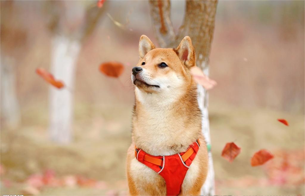 Peycel (@peycel149761) on Twitter photo 