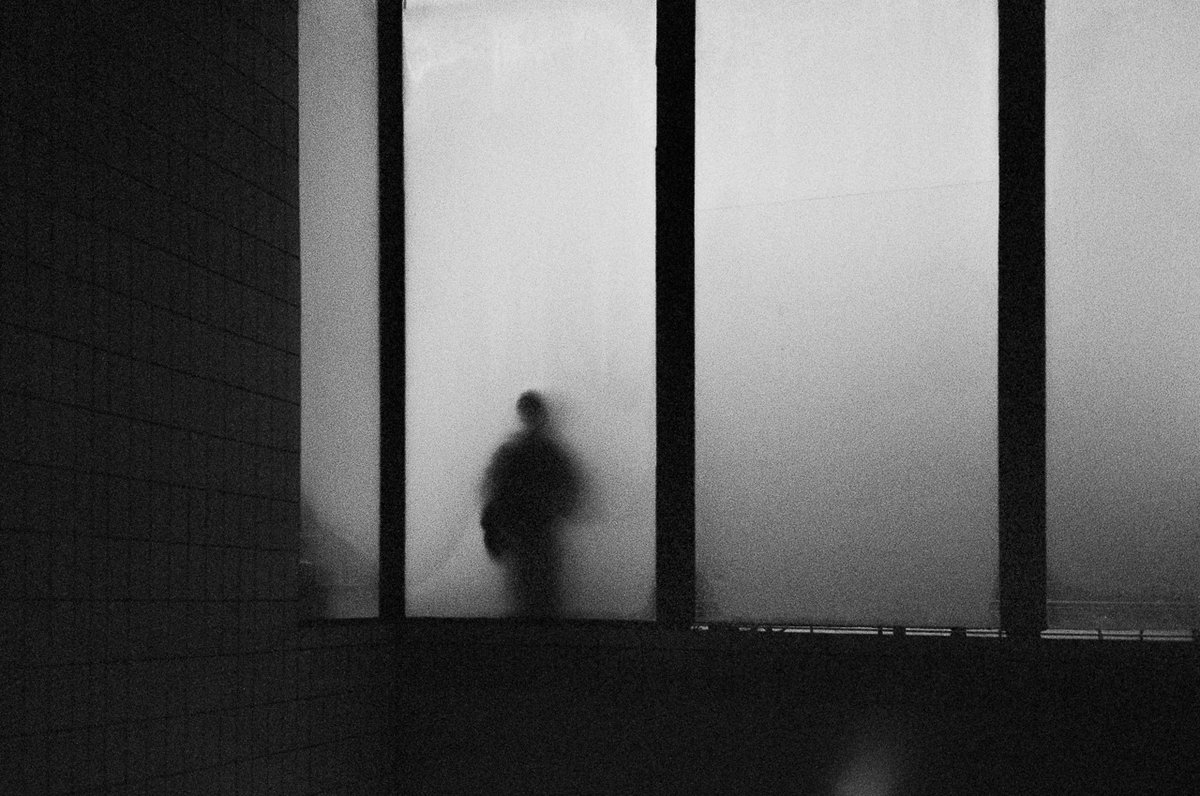 Archillect (@archillect) on Twitter photo 