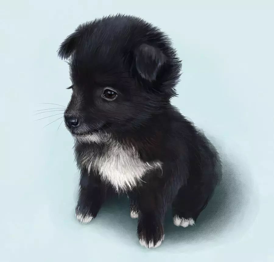 Gepho (@gepho117482) on Twitter photo 