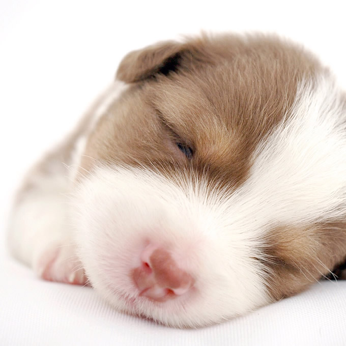 Phoanni (@phoanni111951) on Twitter photo 