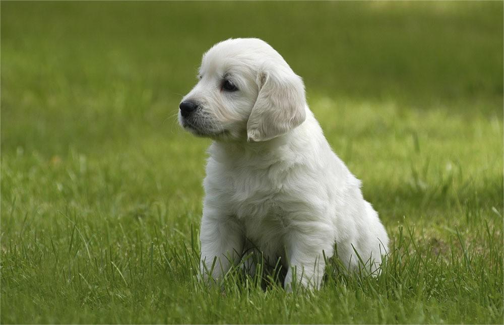 Tenegheb (@tenegheb50410) on Twitter photo 