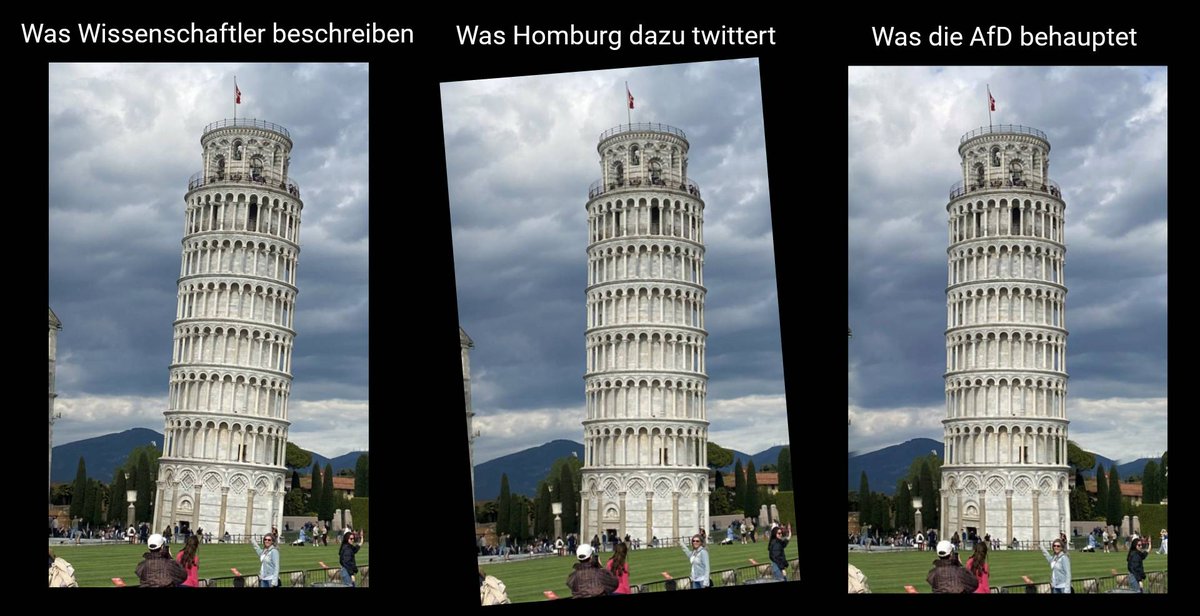 Symbolbild, alternative Fakten: 'Der Turm ist gerade!' 
#Doofessor
#AfDmachtDumm