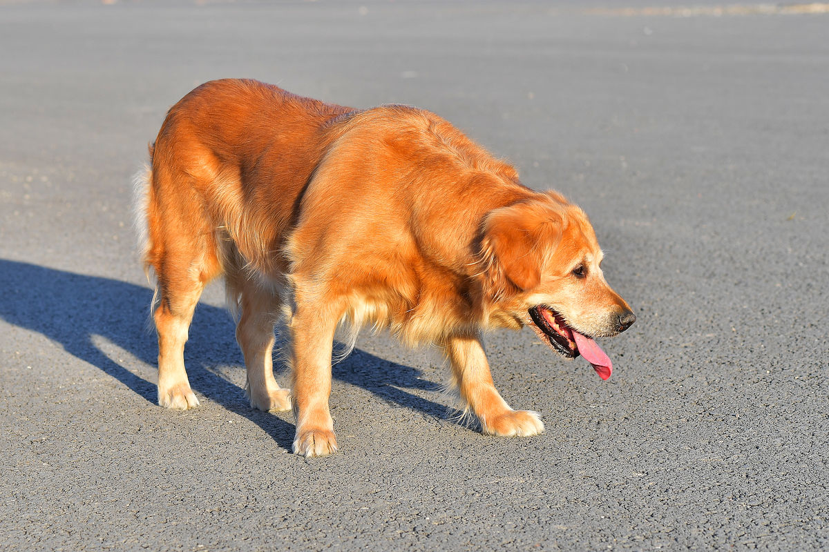 Sothou (@sothou15154) on Twitter photo 