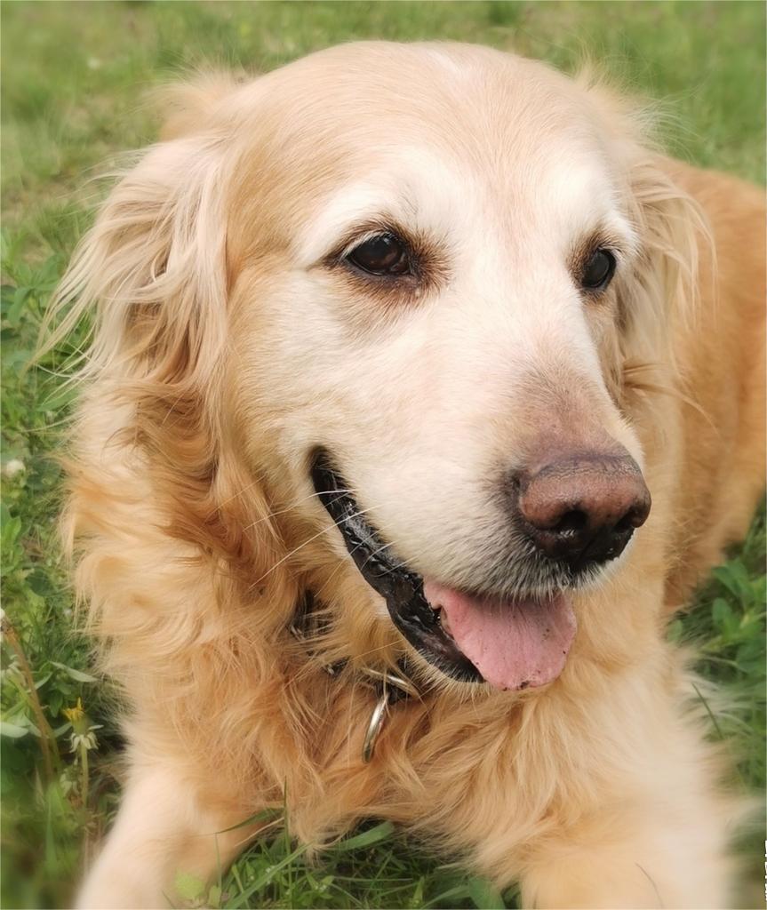 Stoaknet (@stoaknet51175) on Twitter photo 