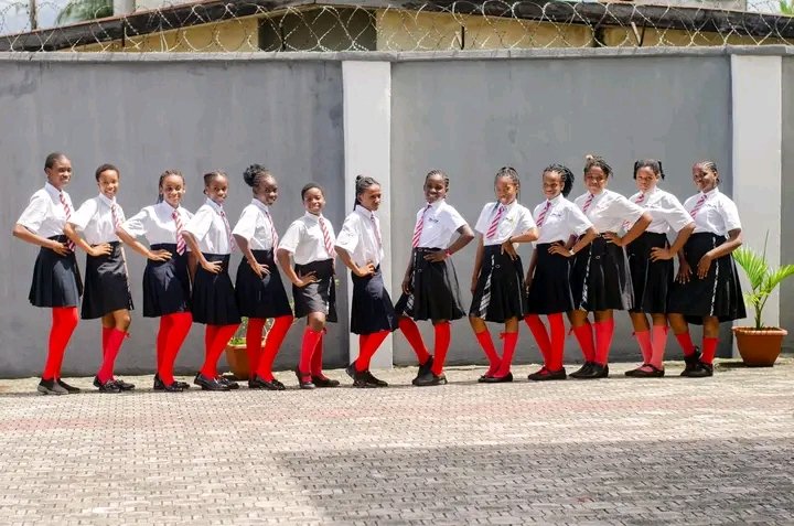 Brainy Hive Schools tweet media