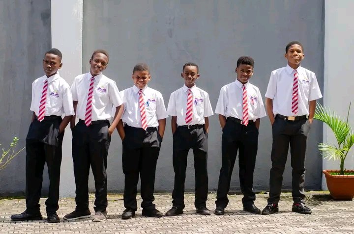 Brainy Hive Schools tweet media