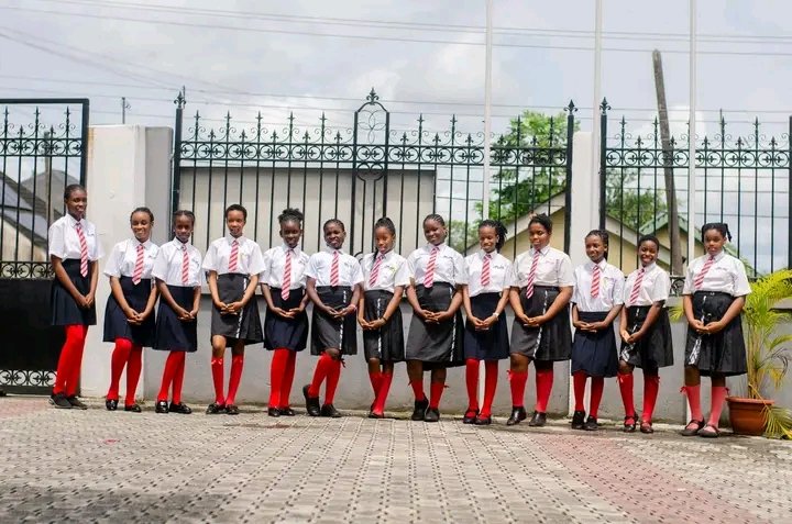 Brainy Hive Schools tweet media