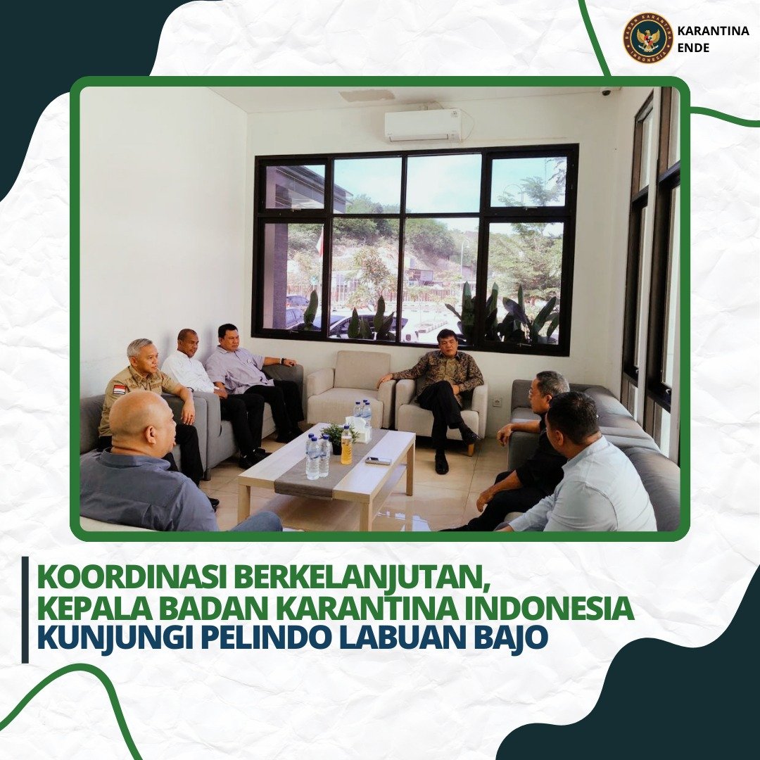 KarantinaEnde's tweet photo. Koordinasi Berkelanjutan, Kepala Badan Karantina Indonesia Kunjungi Pelindo Labuan Bajo

Labuan Bajo – Kepala Badan Karantina Indonesia Sahaat Manaor Panggabean didampingi Kepala Karantina Ende Komarudin melakukan kunjungan kerja ke PT. Pelindo Wilayah Labuan Bajo, Rabu (06/12). https://t.co/EpznDwVsZ6
