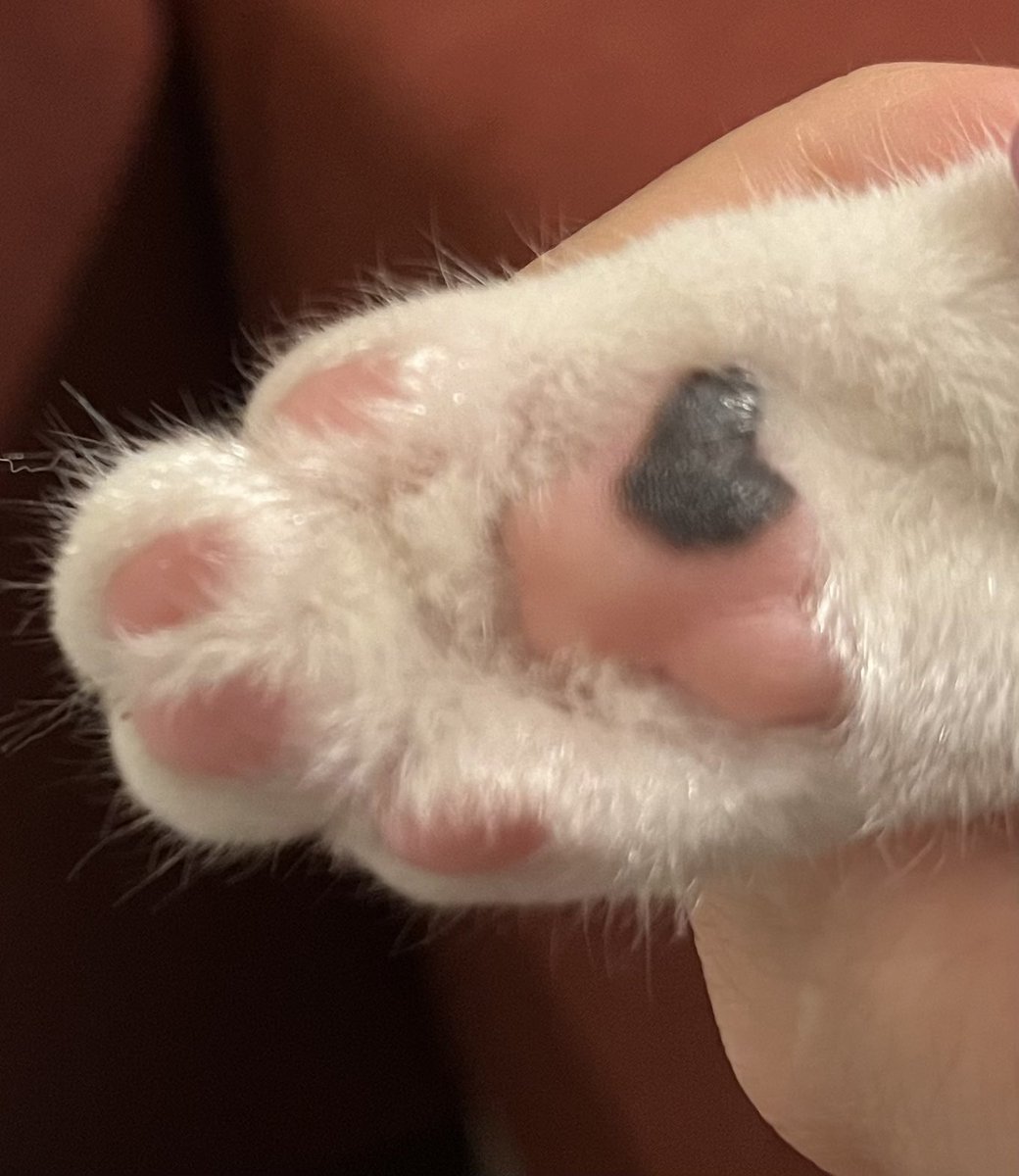 ürün ihtiyacımızı fazlasıyla karşıladı, minik kalp çıkartması hediyeniz için de çok teşekkür ederiz