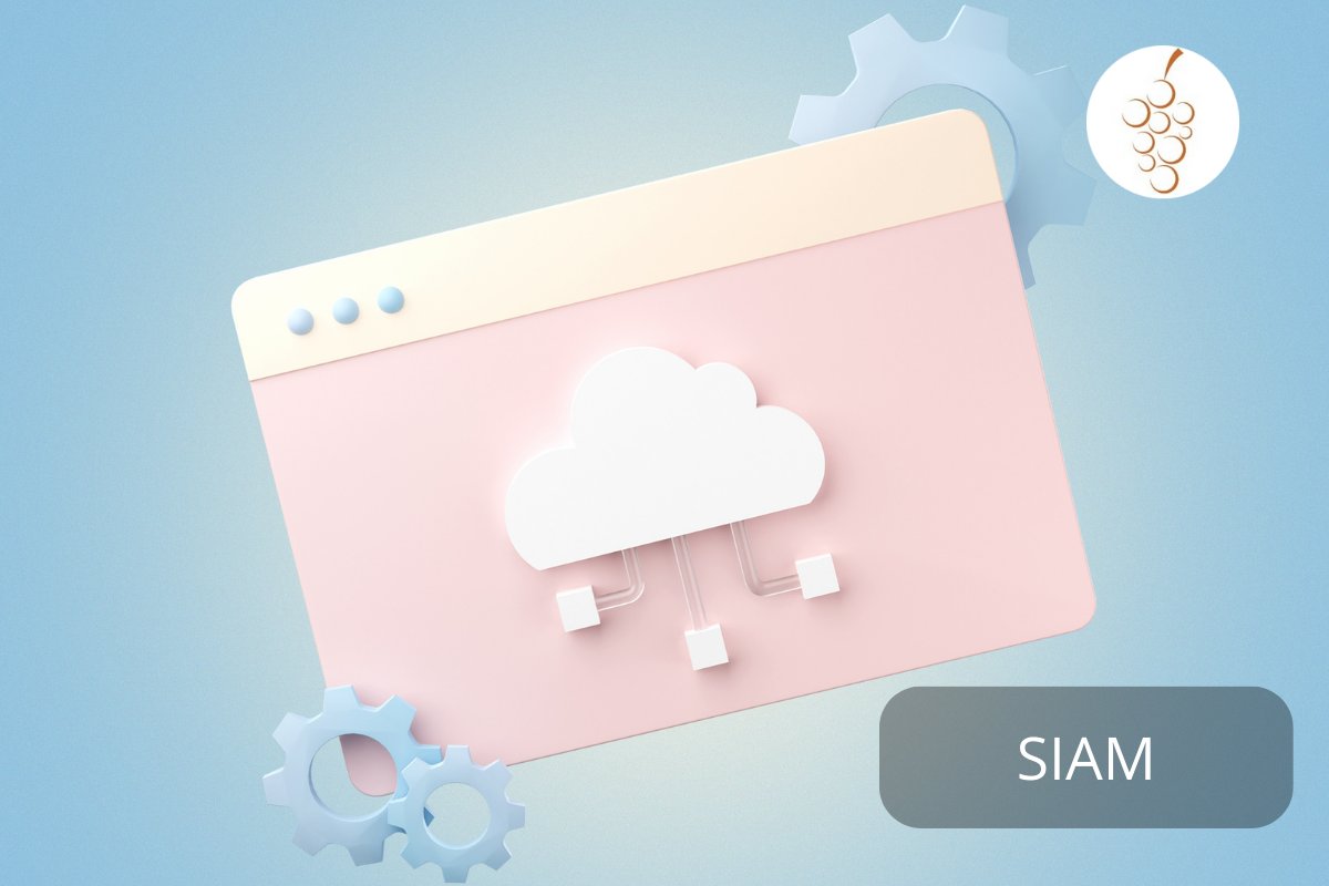 brown_grape's tweet photo. Service Integration and Management

SIAM serves as a crucial framework for efficiently managing multiple service providers and their offerings in a cohesive manner by integrating them into a unified platform.

https://t.co/DcDYKprLB9

#BGT #Maestro #Cloud #SIAM https://t.co/pCAMnoJ0hM