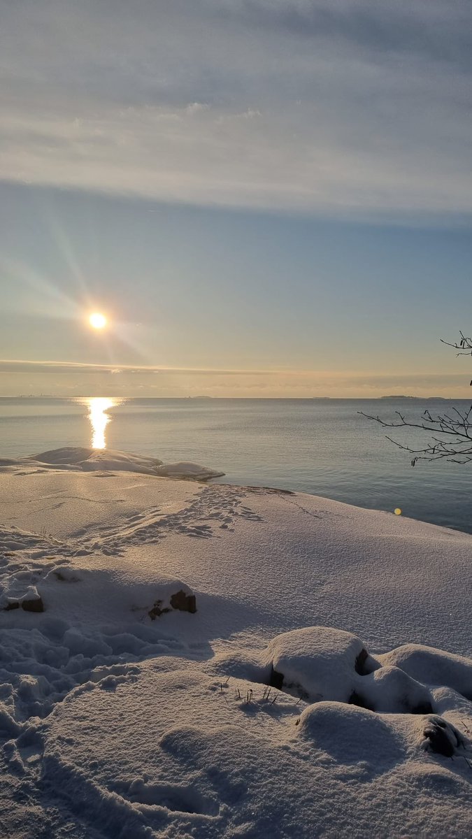 Hyvää itsenäisyyspäivää🇫🇮